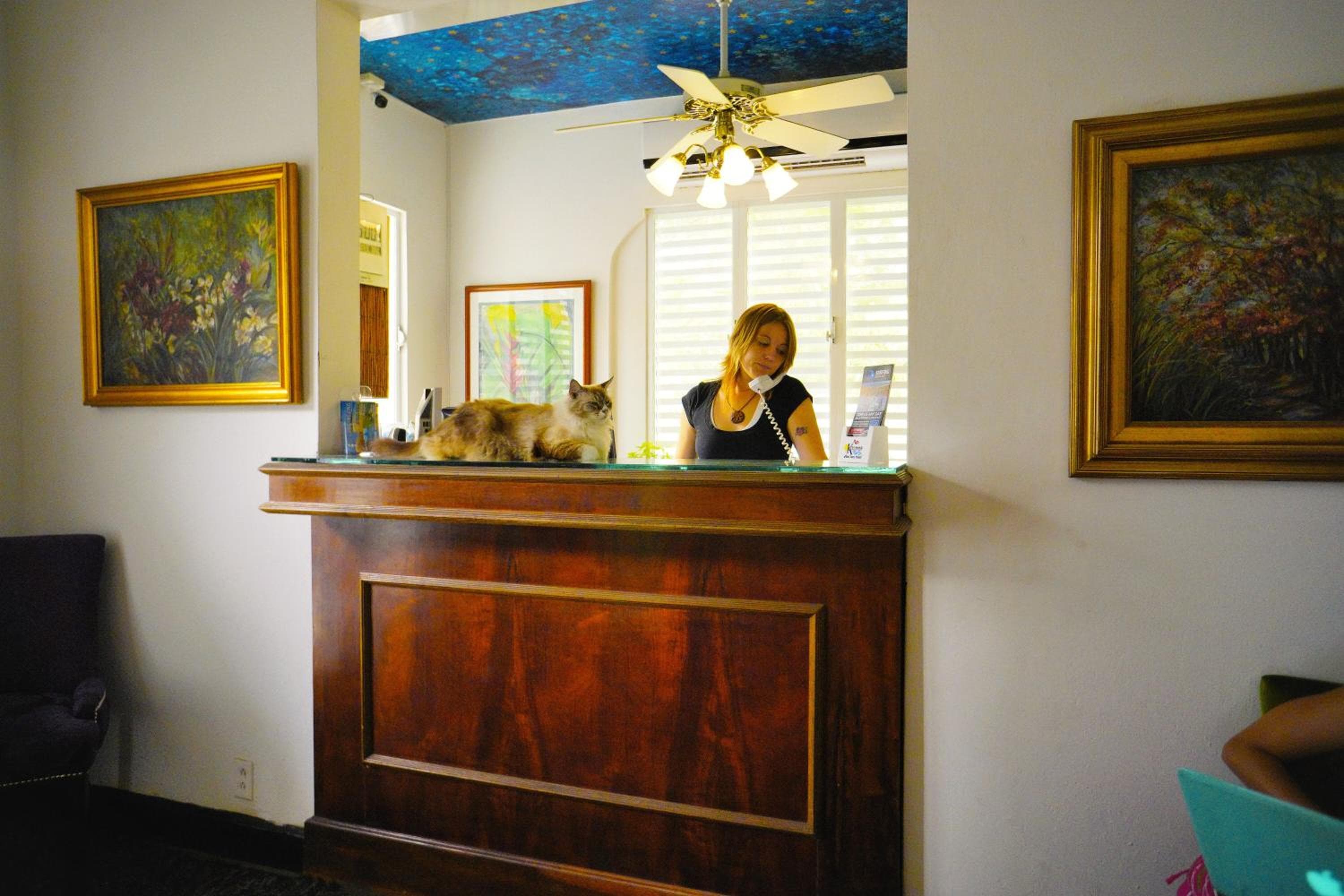At Wind Chimes Boutique Hotel