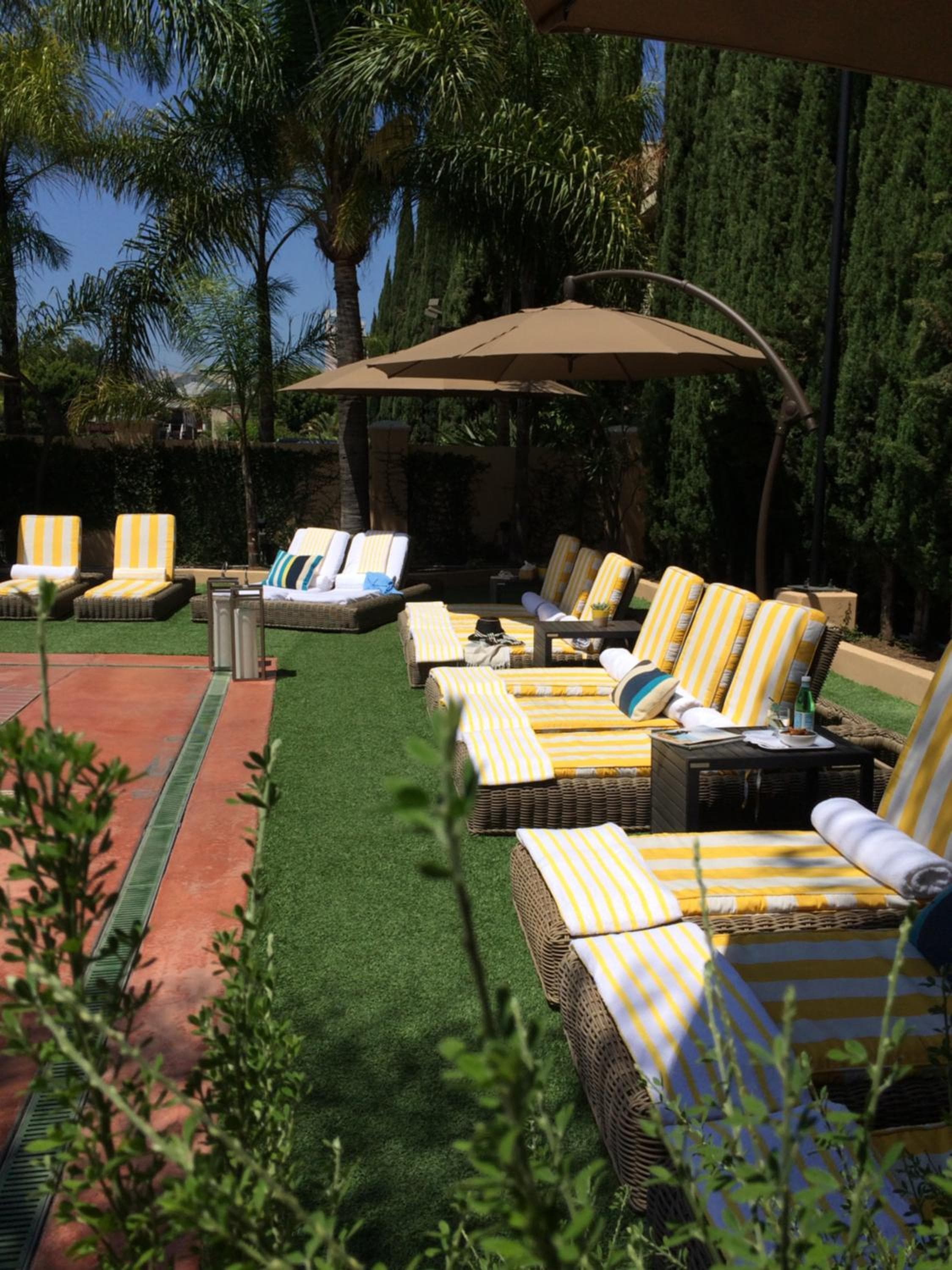 Hollywood Hotel: recepcion & lobby