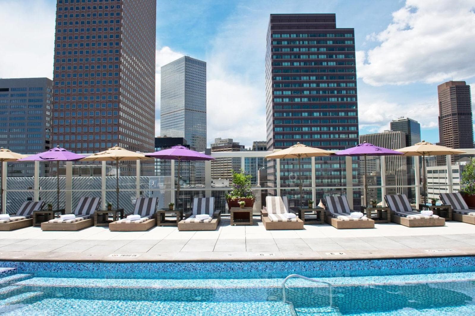 Warwick Denver: roof