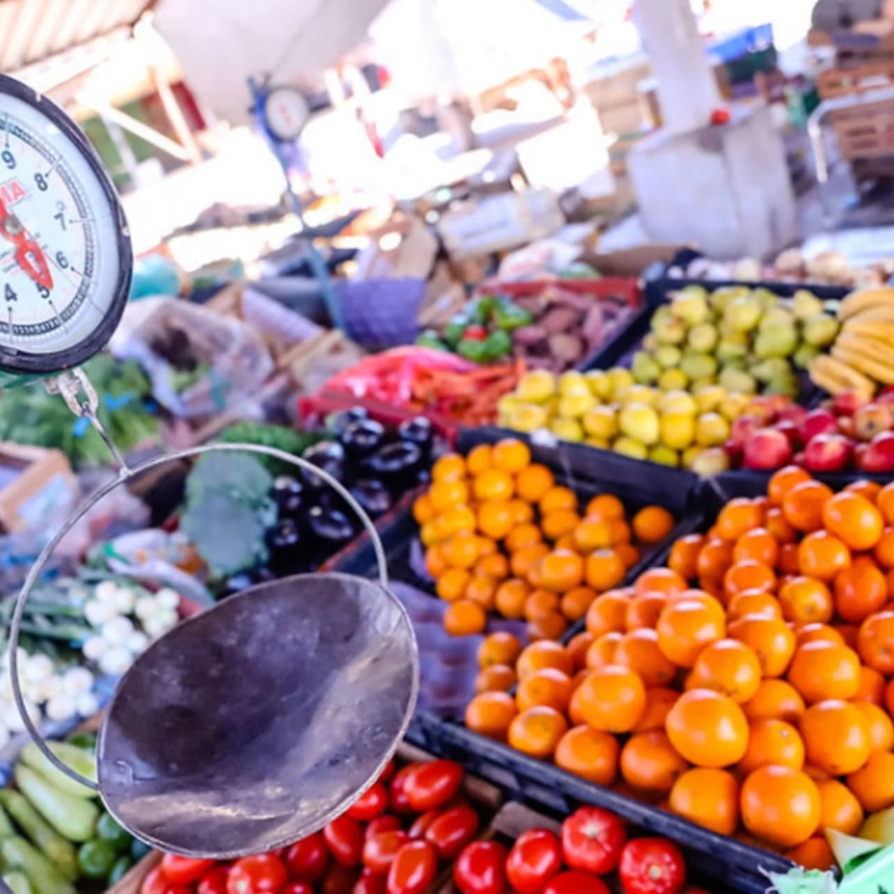 Mexico City: Food and Market Tour