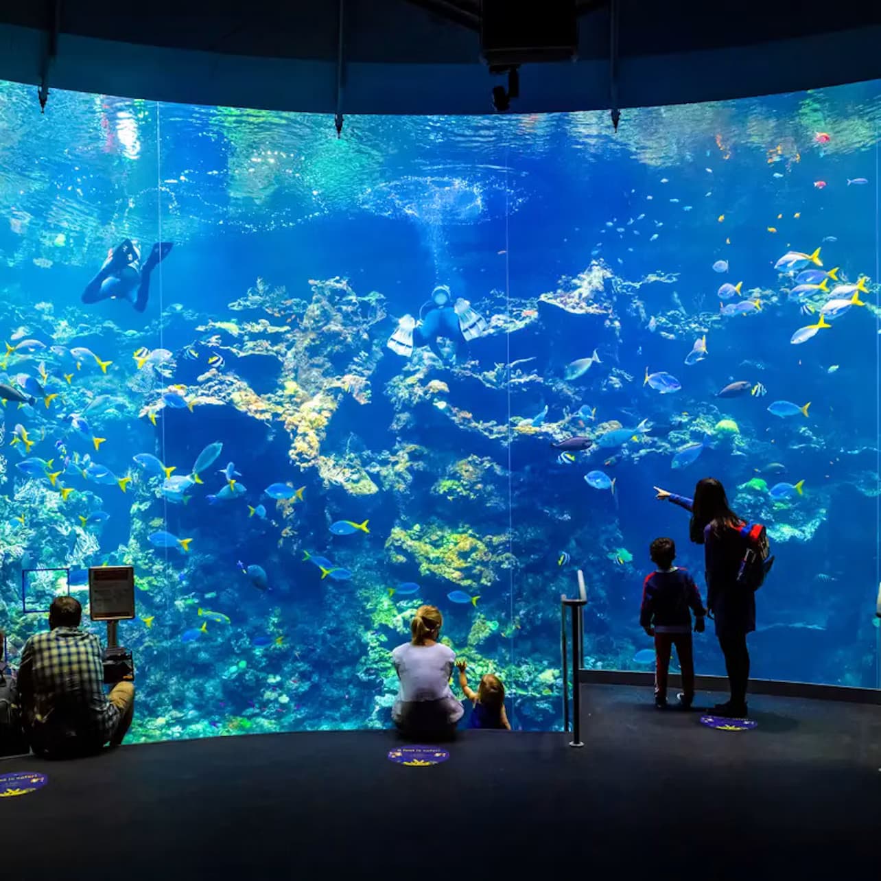 California Academy of Sciences: Entry Ticket