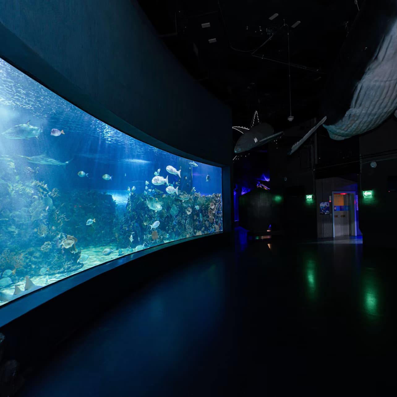 Inbursa Aquarium in Mexico City: Entrance Ticket