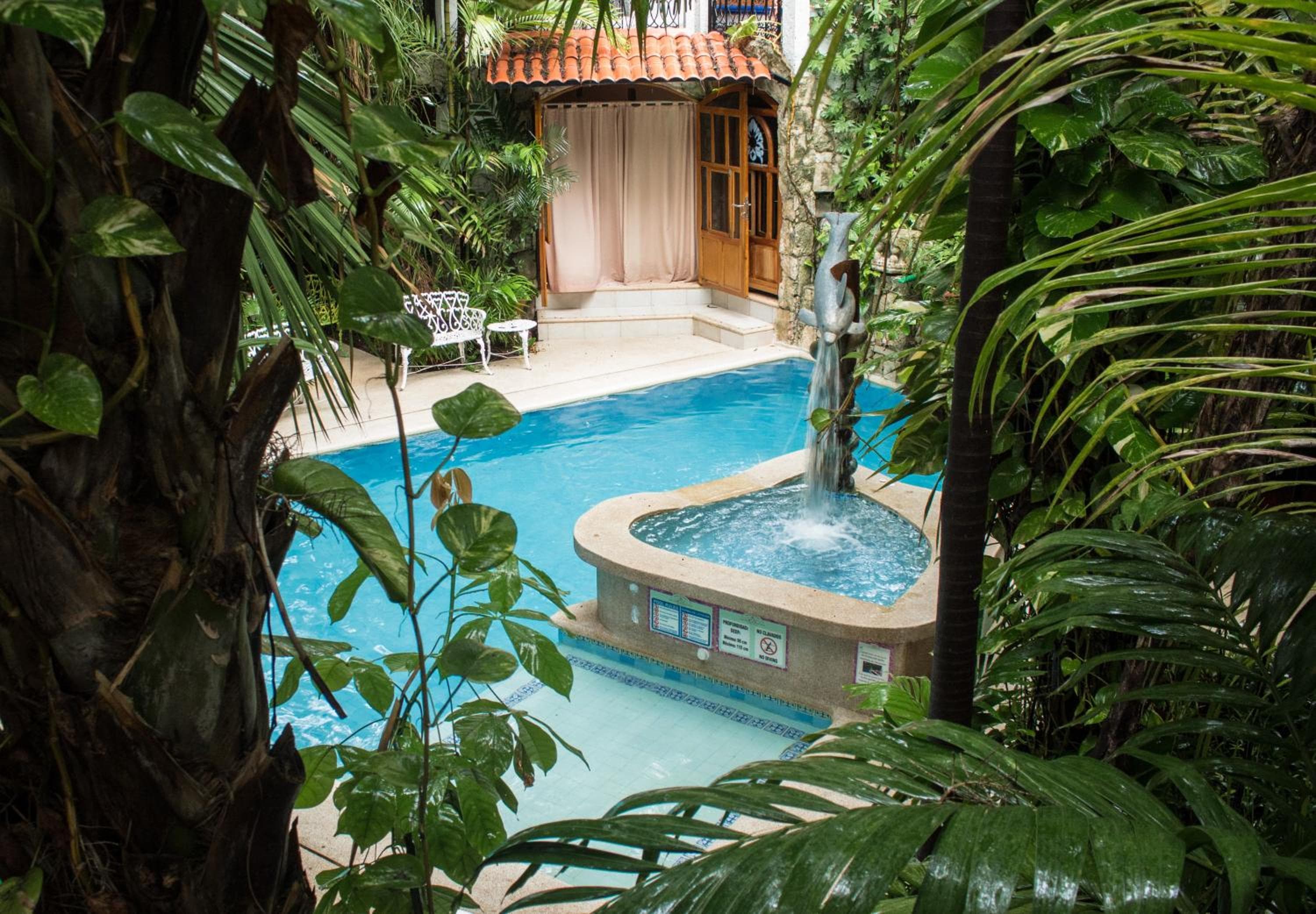 Eco-hotel El Rey del Caribe: recepcion & lobby