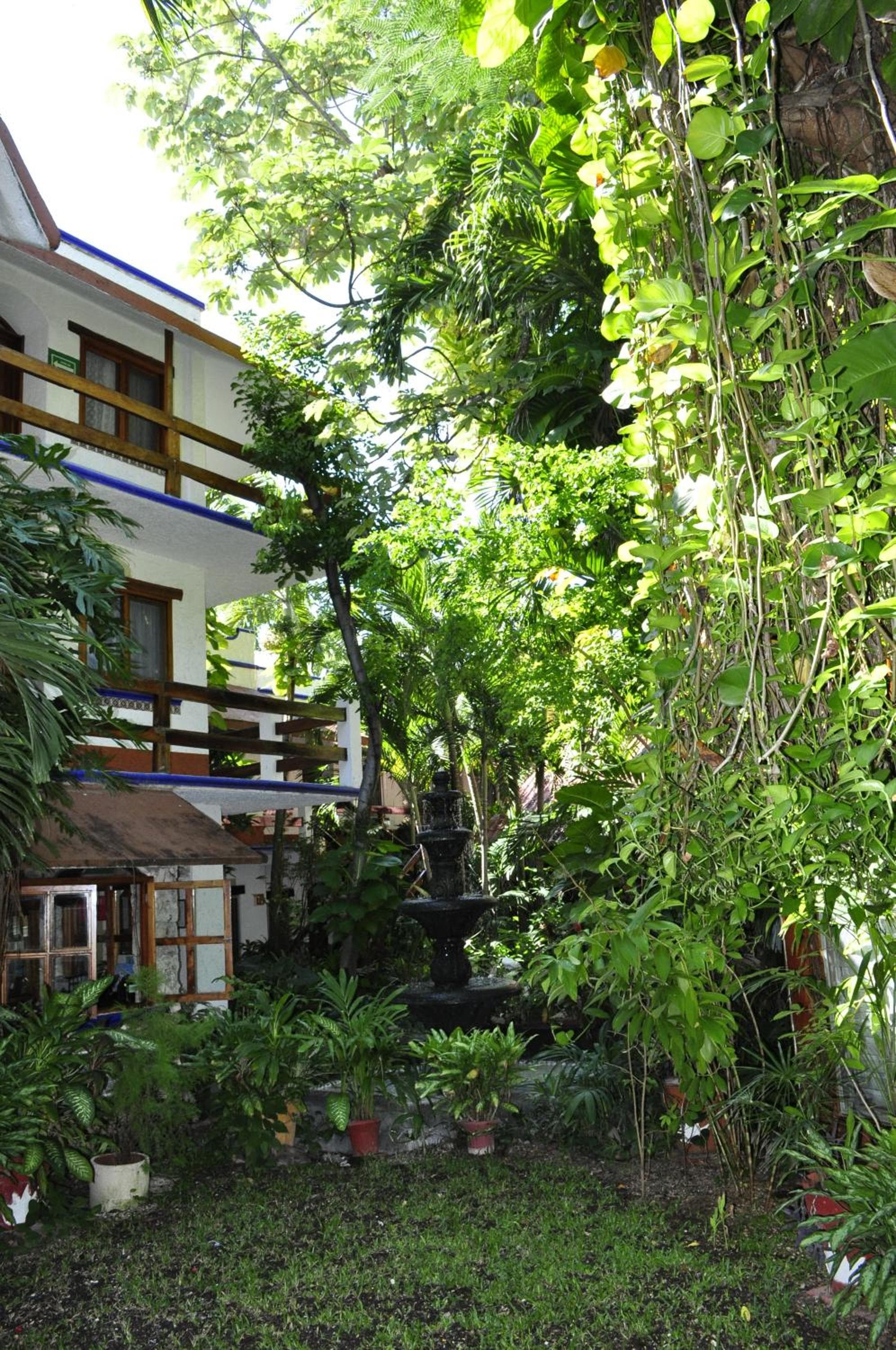 Eco-hotel El Rey del Caribe: building