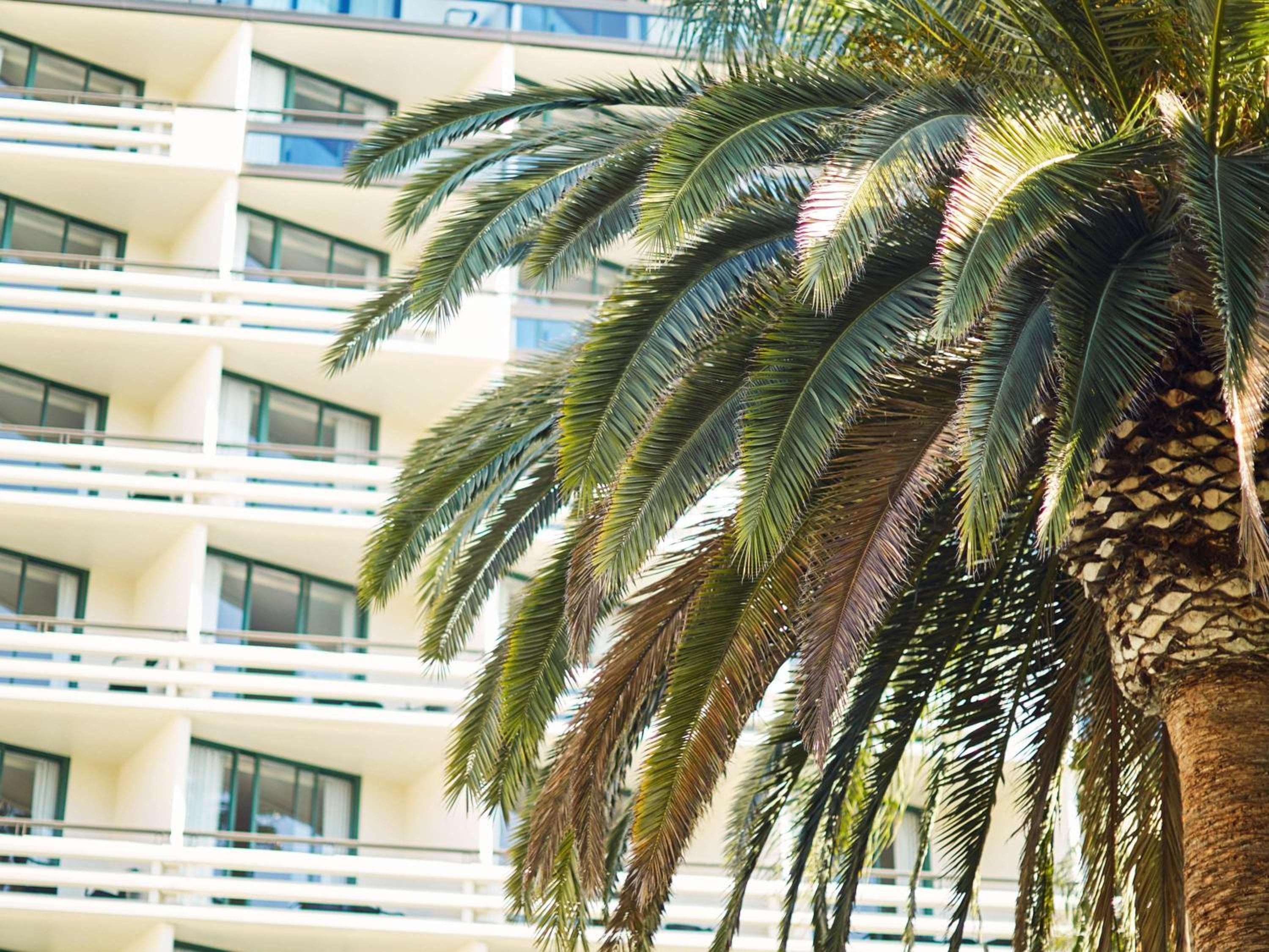 Fairmont Miramar Hotel & Bungalows