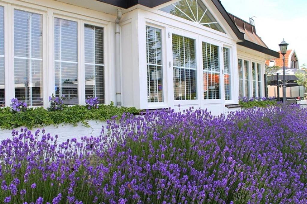 Boutique Hotel Herbergh Amsterdam Airport FREE PARKING, Amsterdam